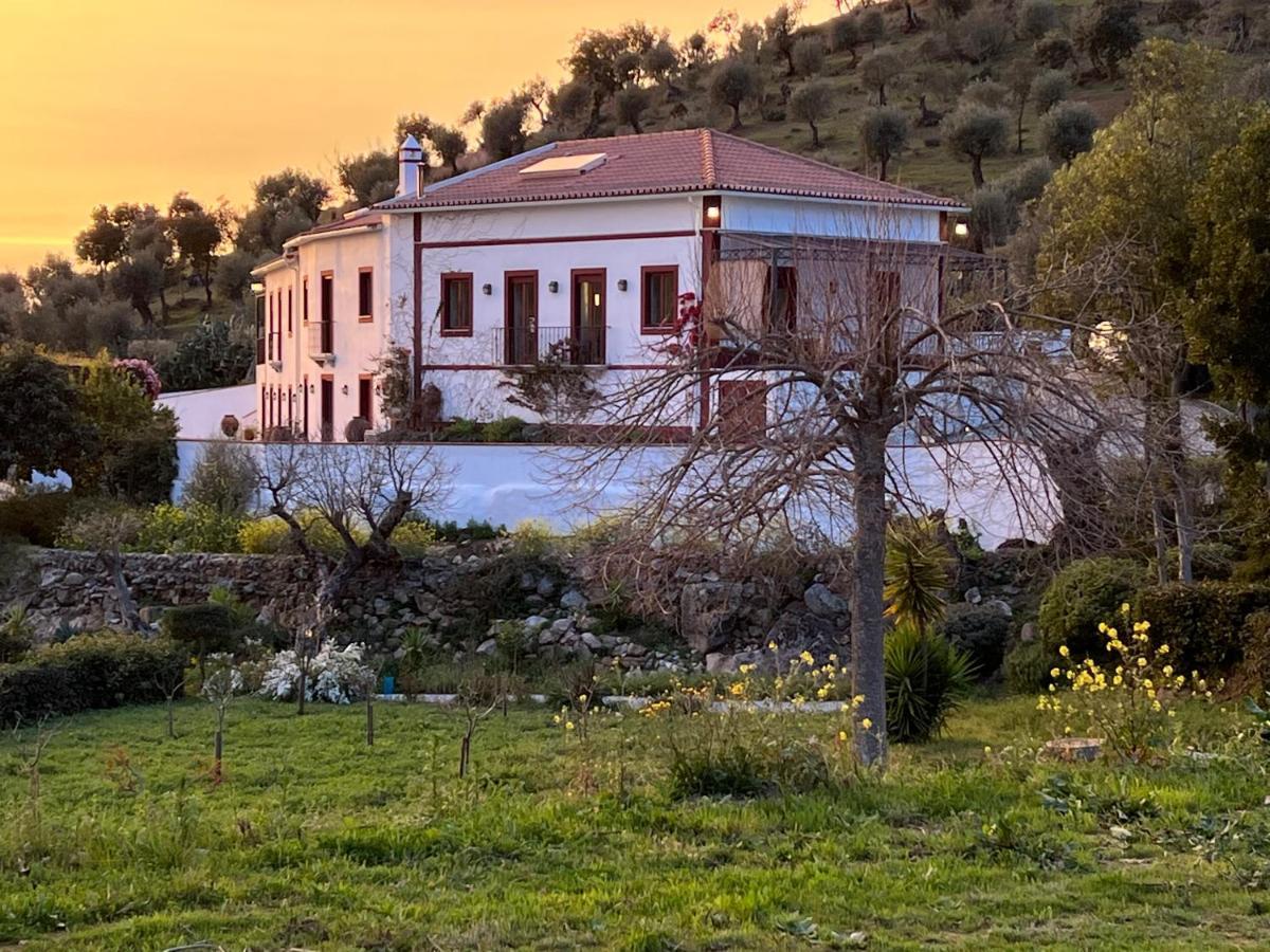 Quinta Da Asneira Lejlighed Montemor-o-Novo Eksteriør billede