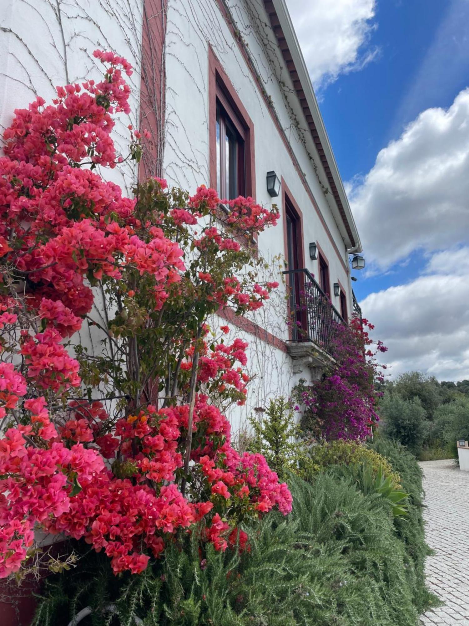 Quinta Da Asneira Lejlighed Montemor-o-Novo Eksteriør billede