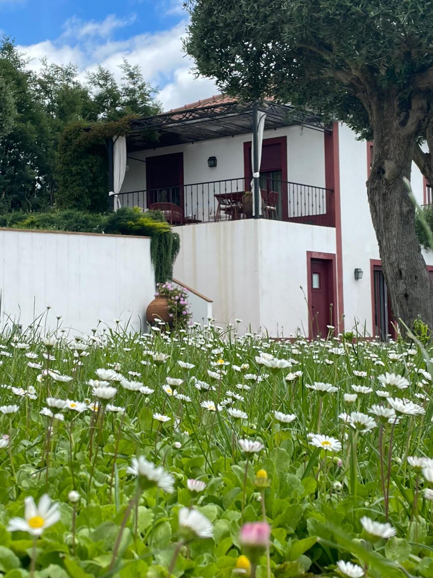 Quinta Da Asneira Lejlighed Montemor-o-Novo Eksteriør billede