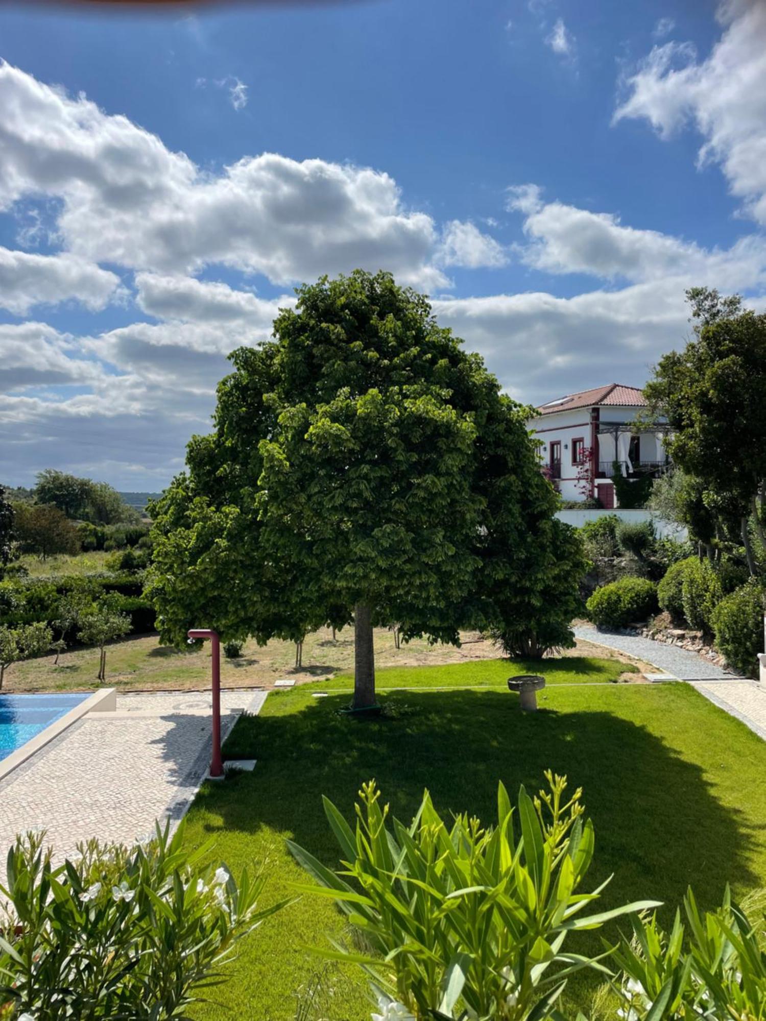 Quinta Da Asneira Lejlighed Montemor-o-Novo Eksteriør billede